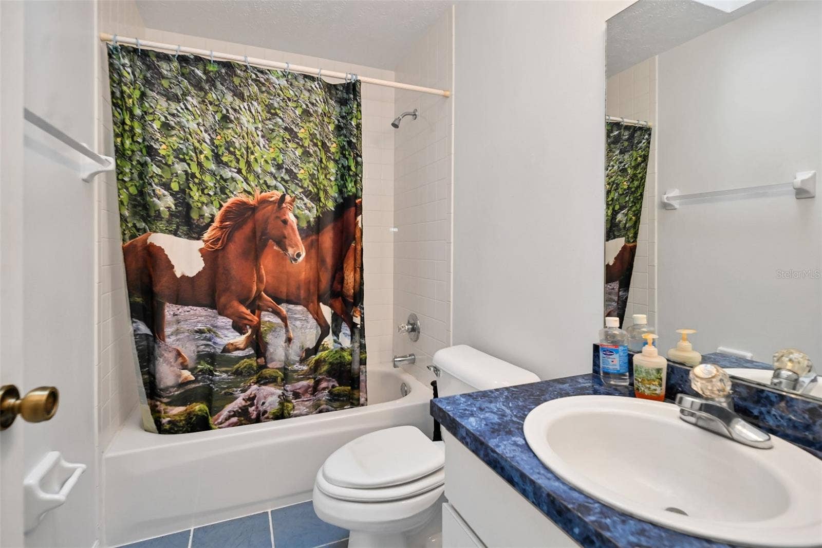 19566 NW 123RD COURT, Micanopy, FL 32667 19566 NW 123RD COURT, Micanopy, FL 32667