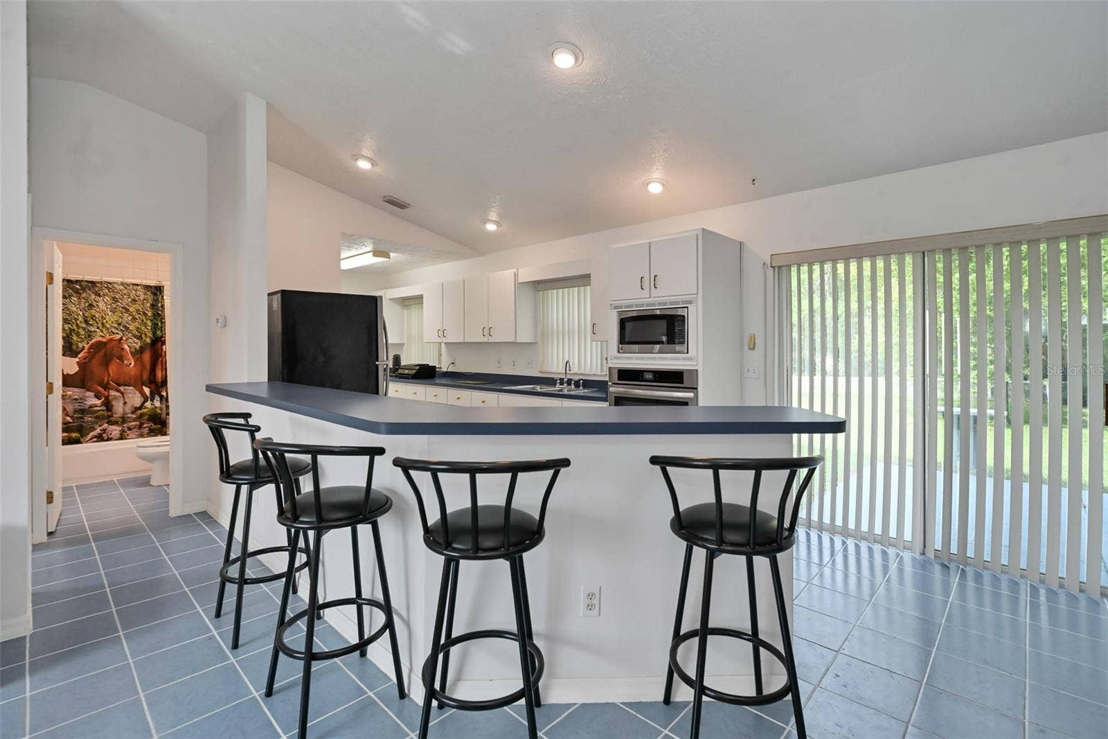 19566 NW 123RD COURT, Micanopy, FL 32667 19566 NW 123RD COURT, Micanopy, FL 32667