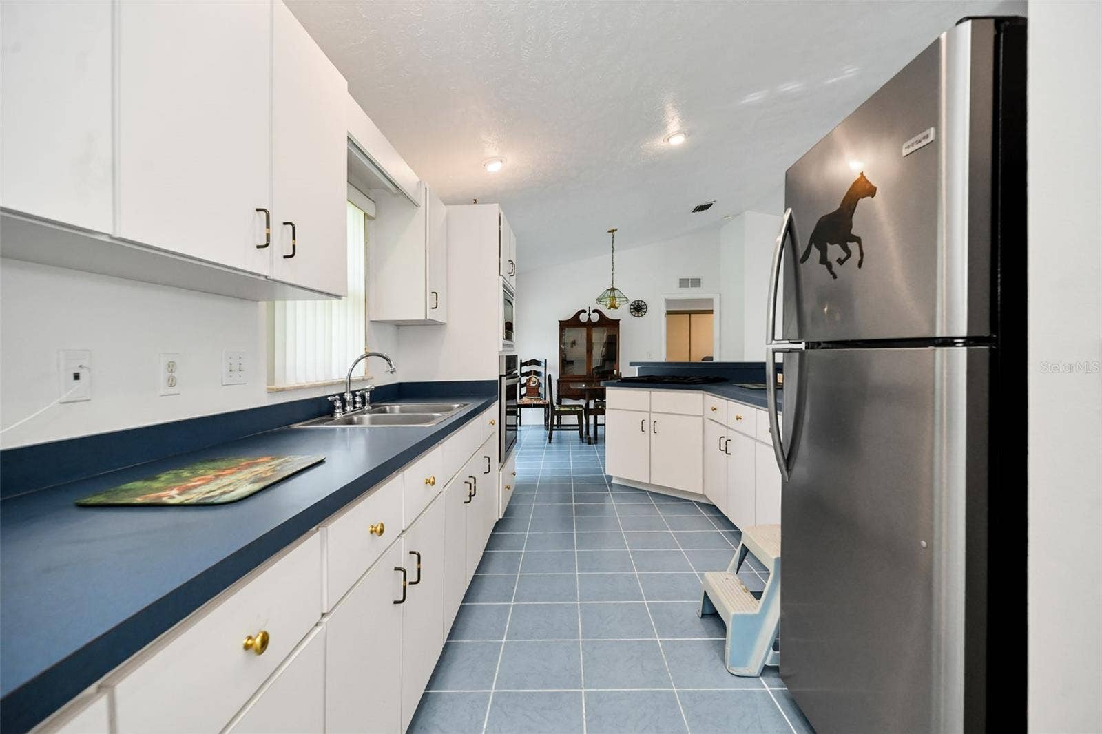 19566 NW 123RD COURT, Micanopy, FL 32667 19566 NW 123RD COURT, Micanopy, FL 32667