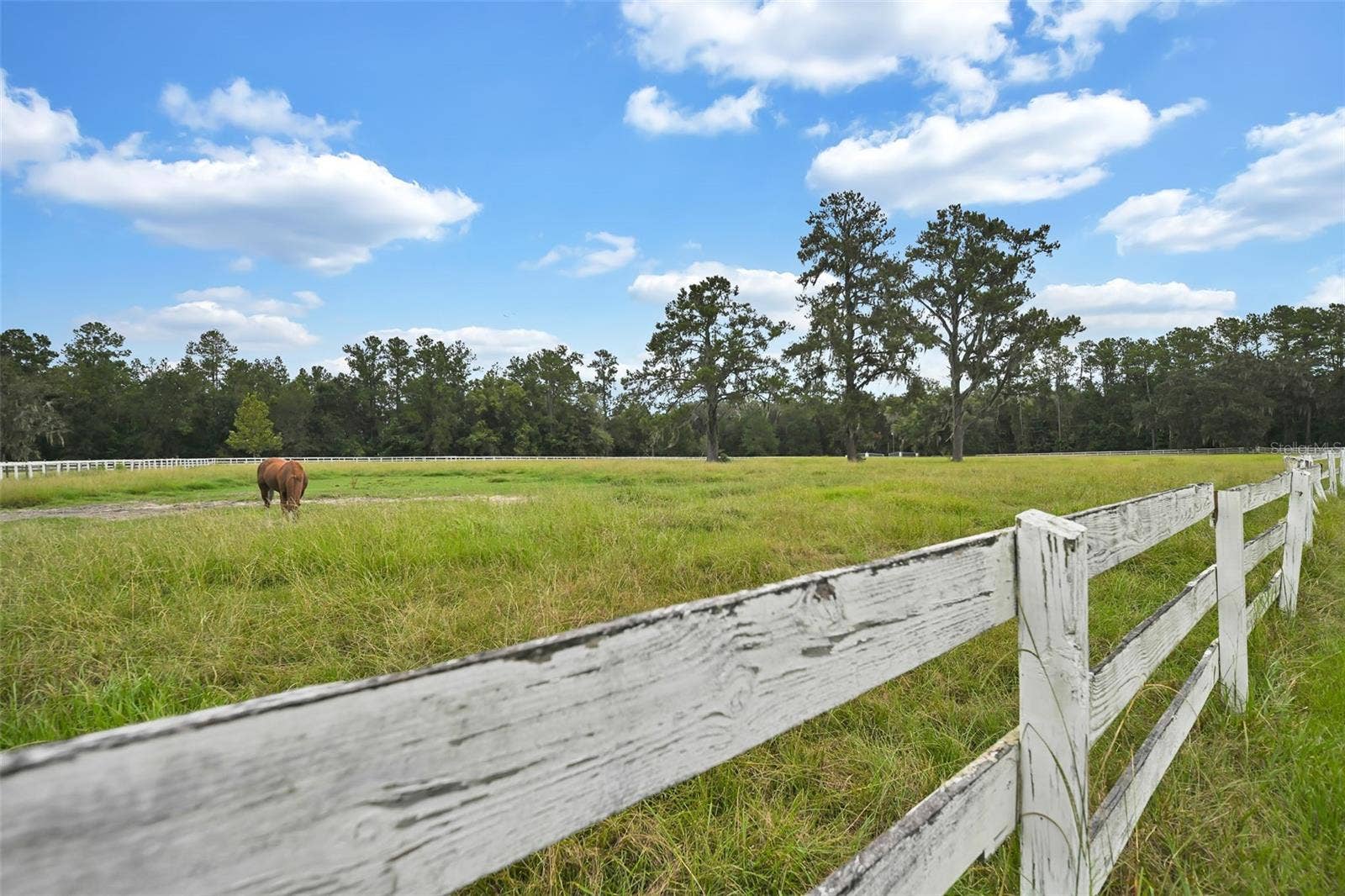 19566 NW 123RD COURT, Micanopy, FL 32667 19566 NW 123RD COURT, Micanopy, FL 32667