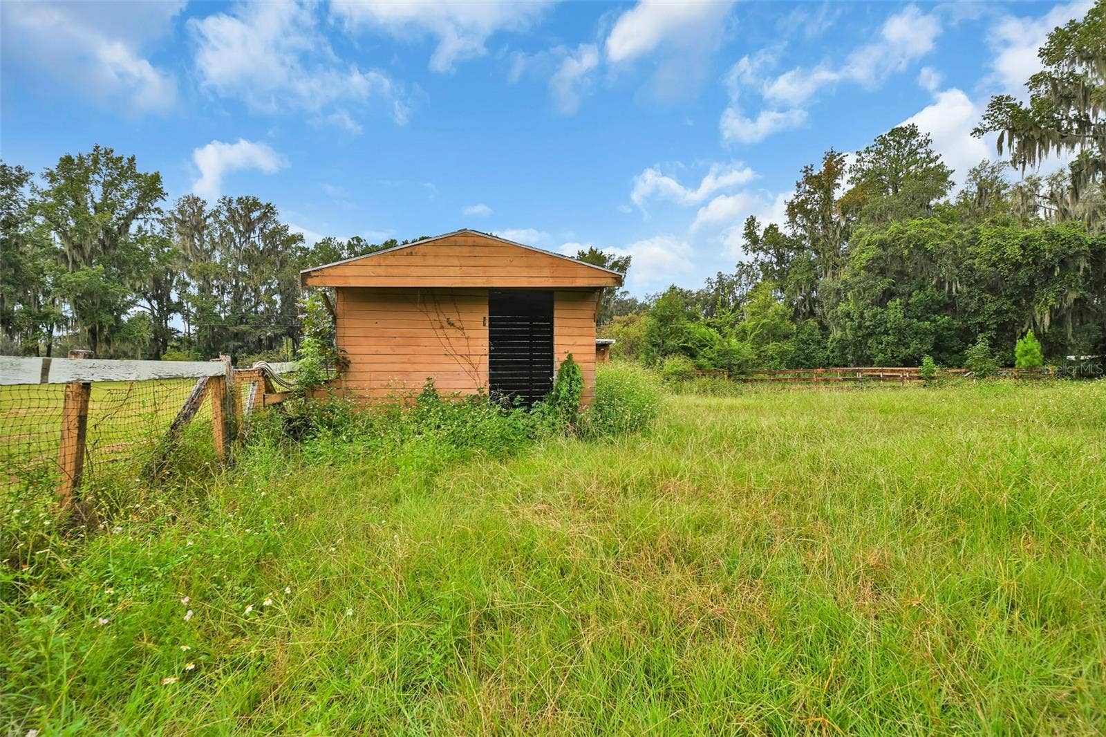 19566 NW 123RD COURT, Micanopy, FL 32667 19566 NW 123RD COURT, Micanopy, FL 32667