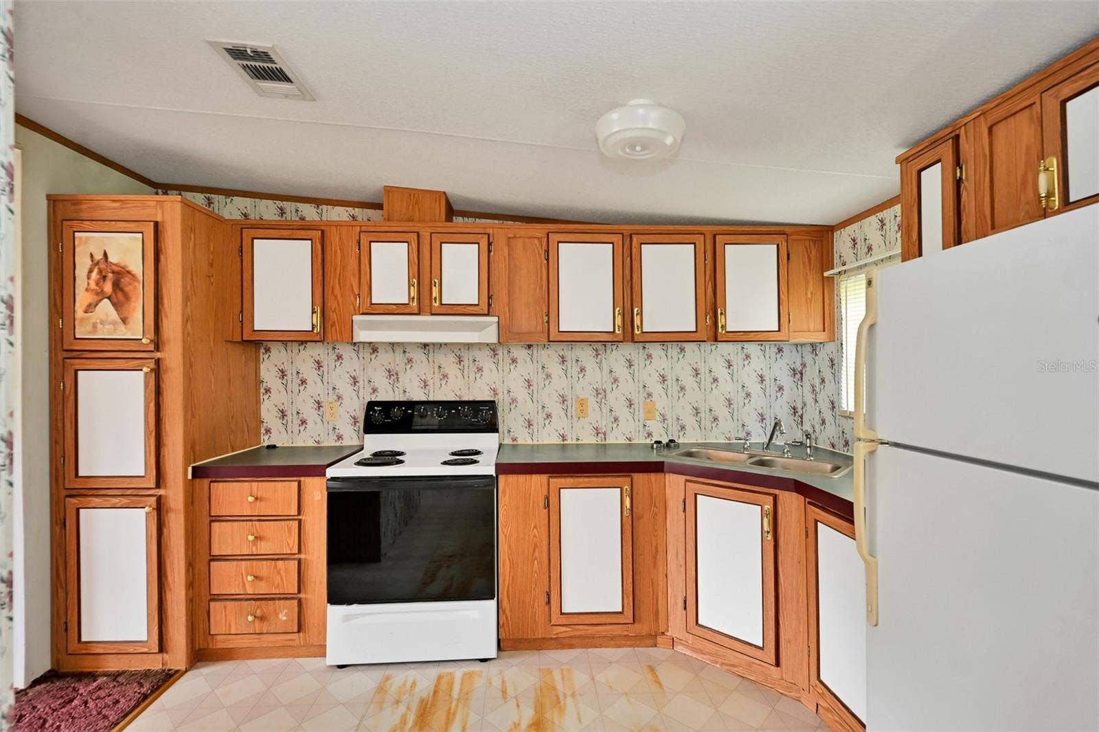 19566 NW 123RD COURT, Micanopy, FL 32667 19566 NW 123RD COURT, Micanopy, FL 32667