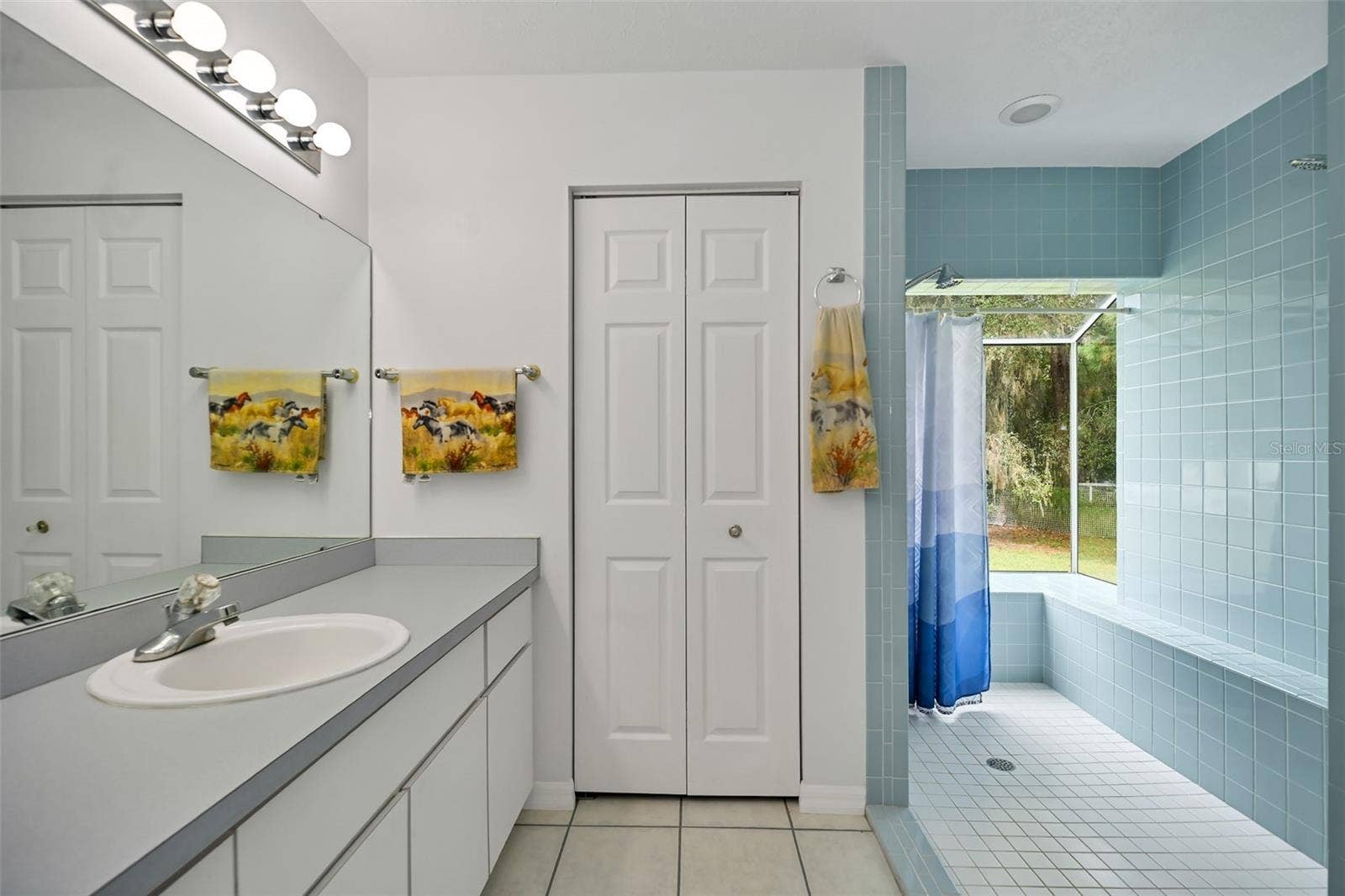 19566 NW 123RD COURT, Micanopy, FL 32667 19566 NW 123RD COURT, Micanopy, FL 32667