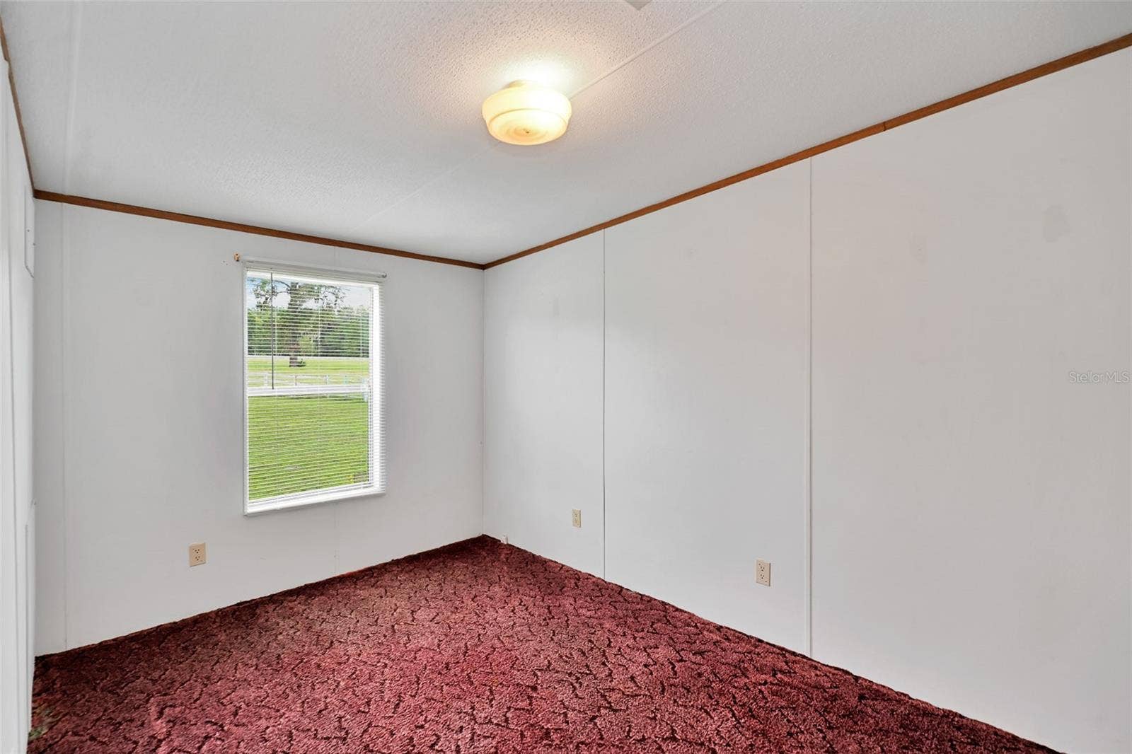 19566 NW 123RD COURT, Micanopy, FL 32667 19566 NW 123RD COURT, Micanopy, FL 32667