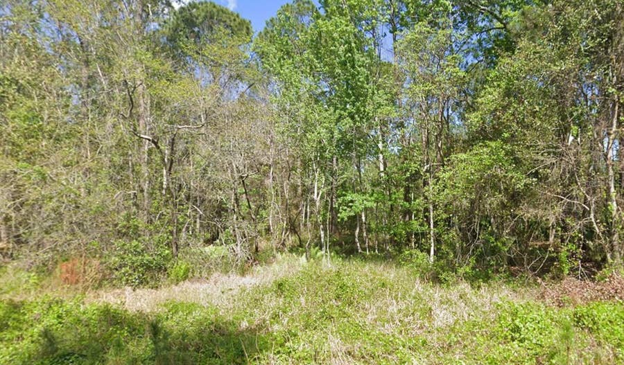 Property photo for 217 DOGWOOD AVENUE, Georgetown, FL