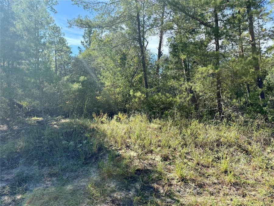 Property photo for 4419 W MALALUKA CIRCLE, Citrus Springs, FL