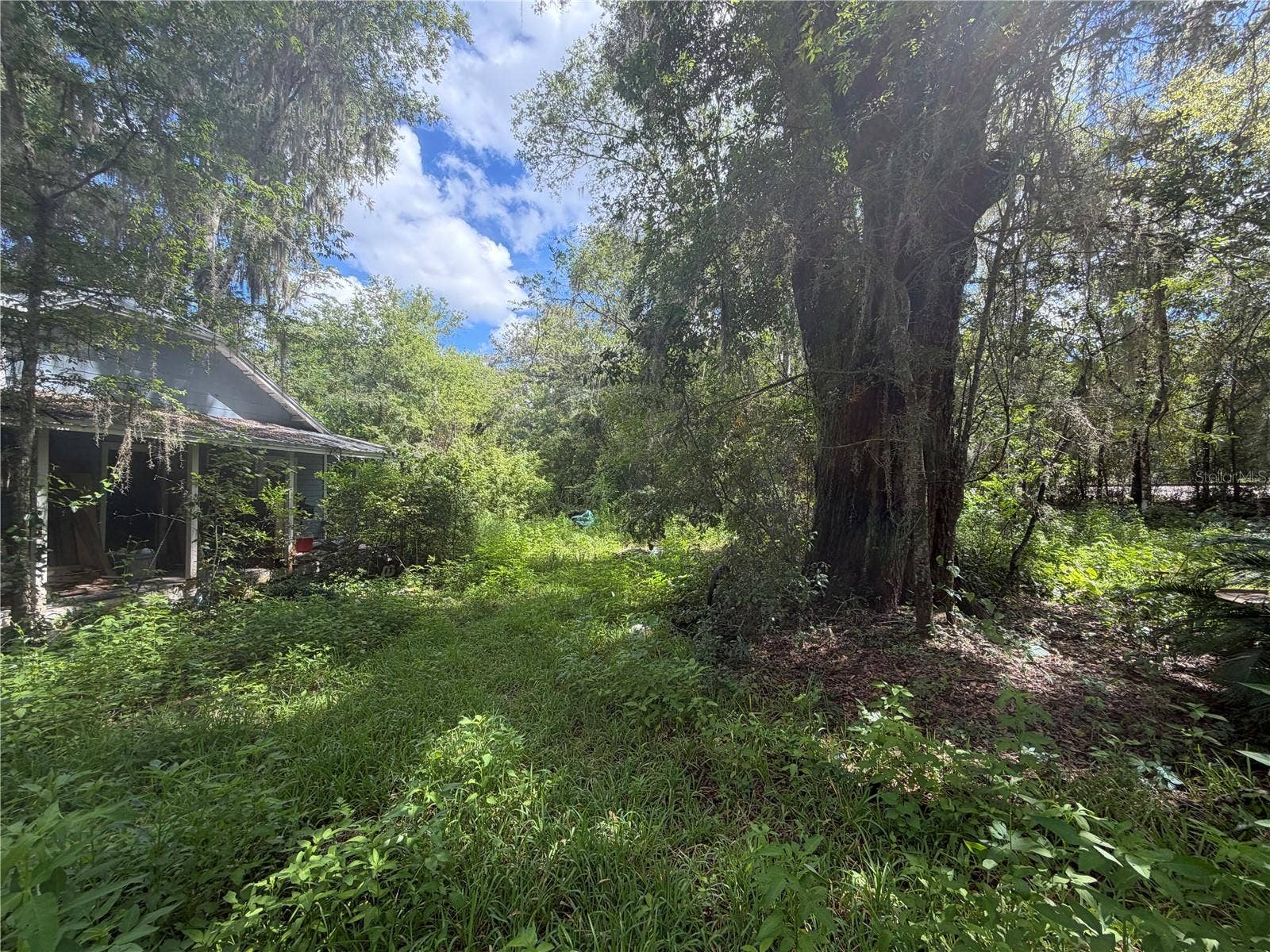 Alachua, FL 32615 Alachua, FL 32615