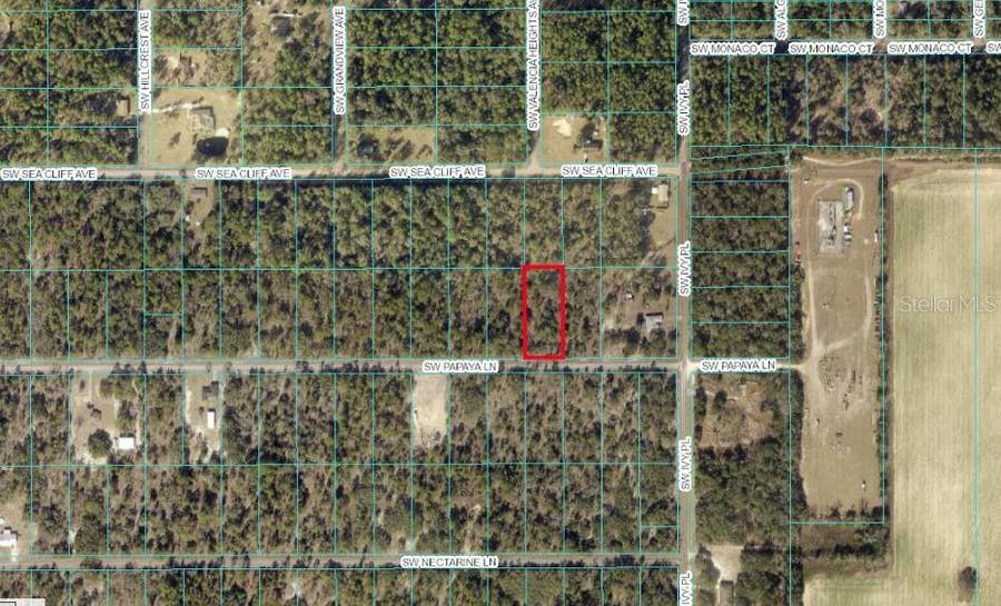 Property photo for TBD SW PAPAYA LANE, Dunnellon, FL