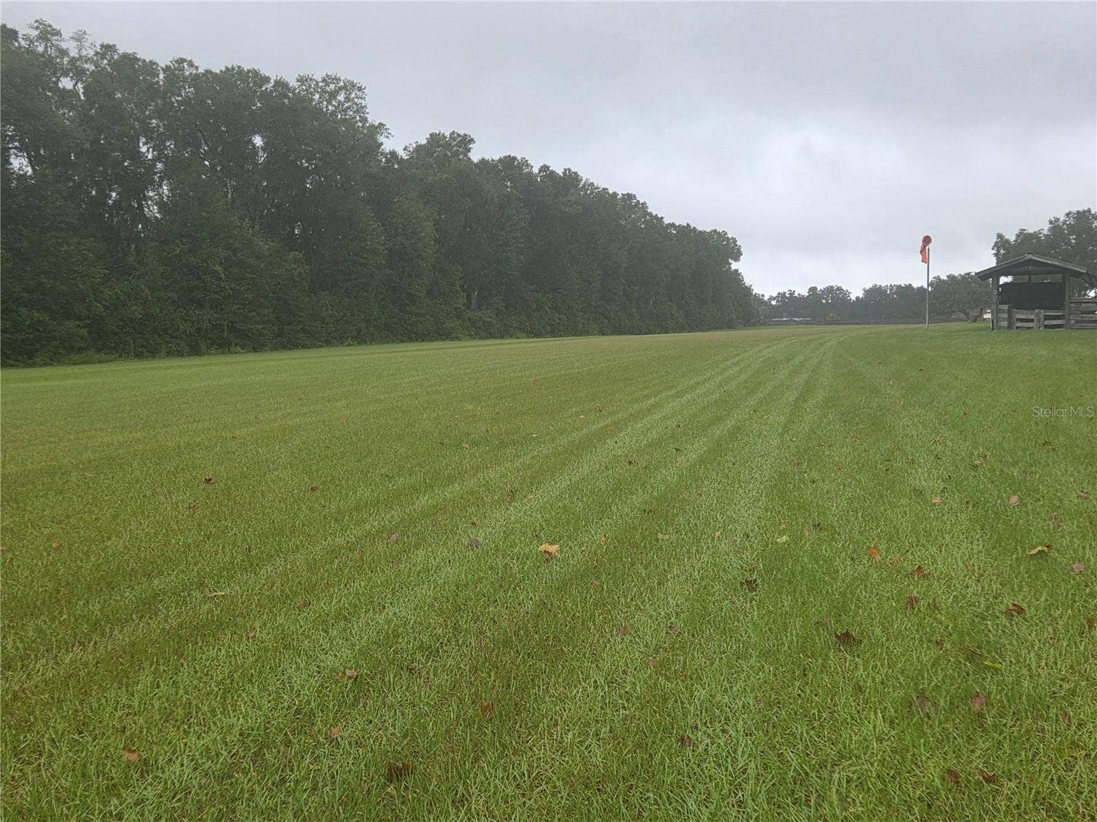 950 W HIGHWAY 316, Citra, FL 32113 2500 ft grass runway facing North
