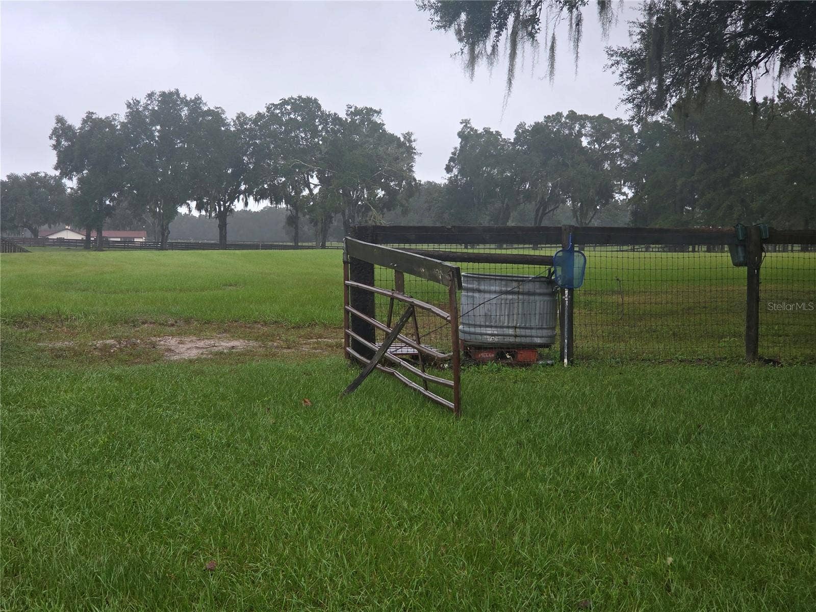 950 W HIGHWAY 316, Citra, FL 32113 Pasture entrance facing North