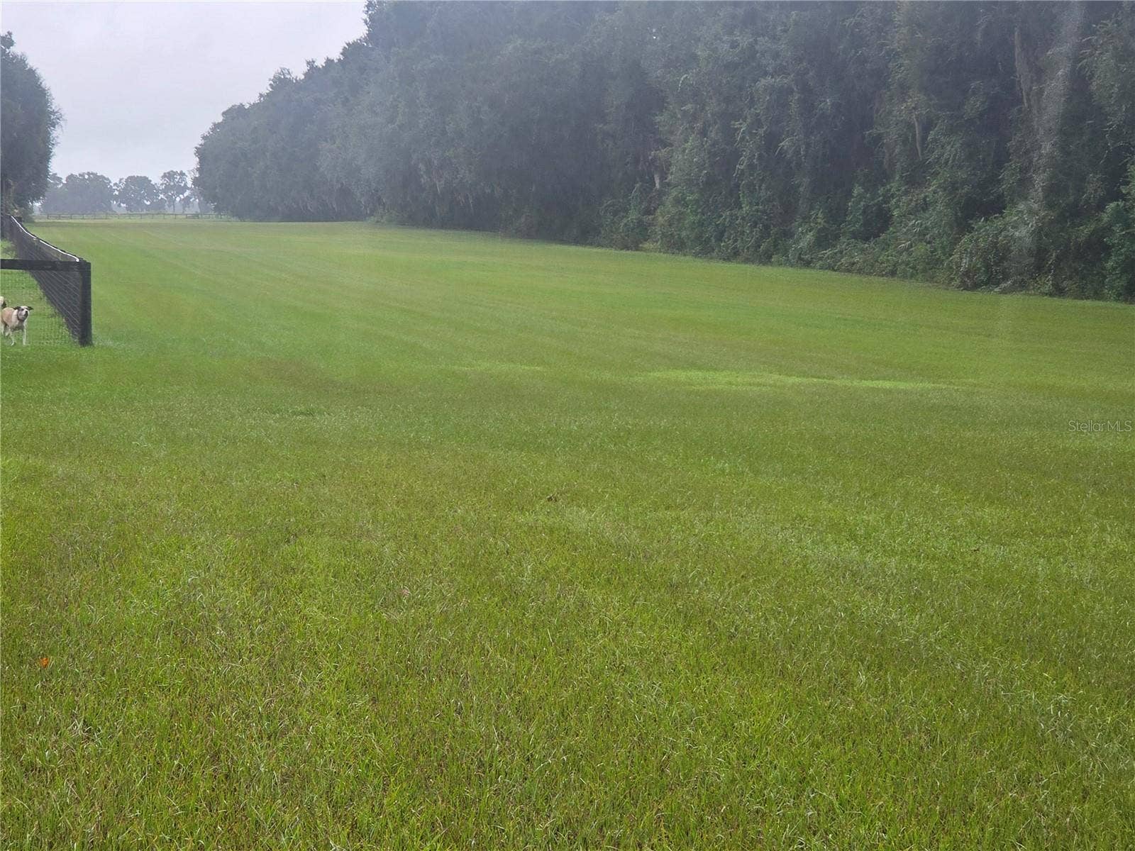 950 W HIGHWAY 316, Citra, FL 32113 2500 ft Runway facing South