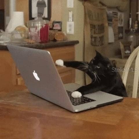 7910 SW 202ND COURT, Dunnellon, FL 34431 "Fritz".. fixin' His PC that's on the FRITZ..lol!!