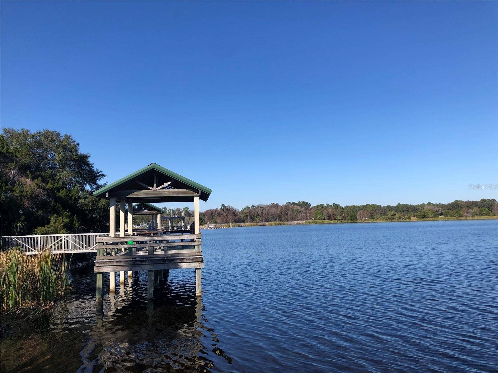 7910 SW 202ND COURT, Dunnellon, FL 34431 SPECTACULAR LAKE ROUSSEAUX FISHING 25 Minutes from property