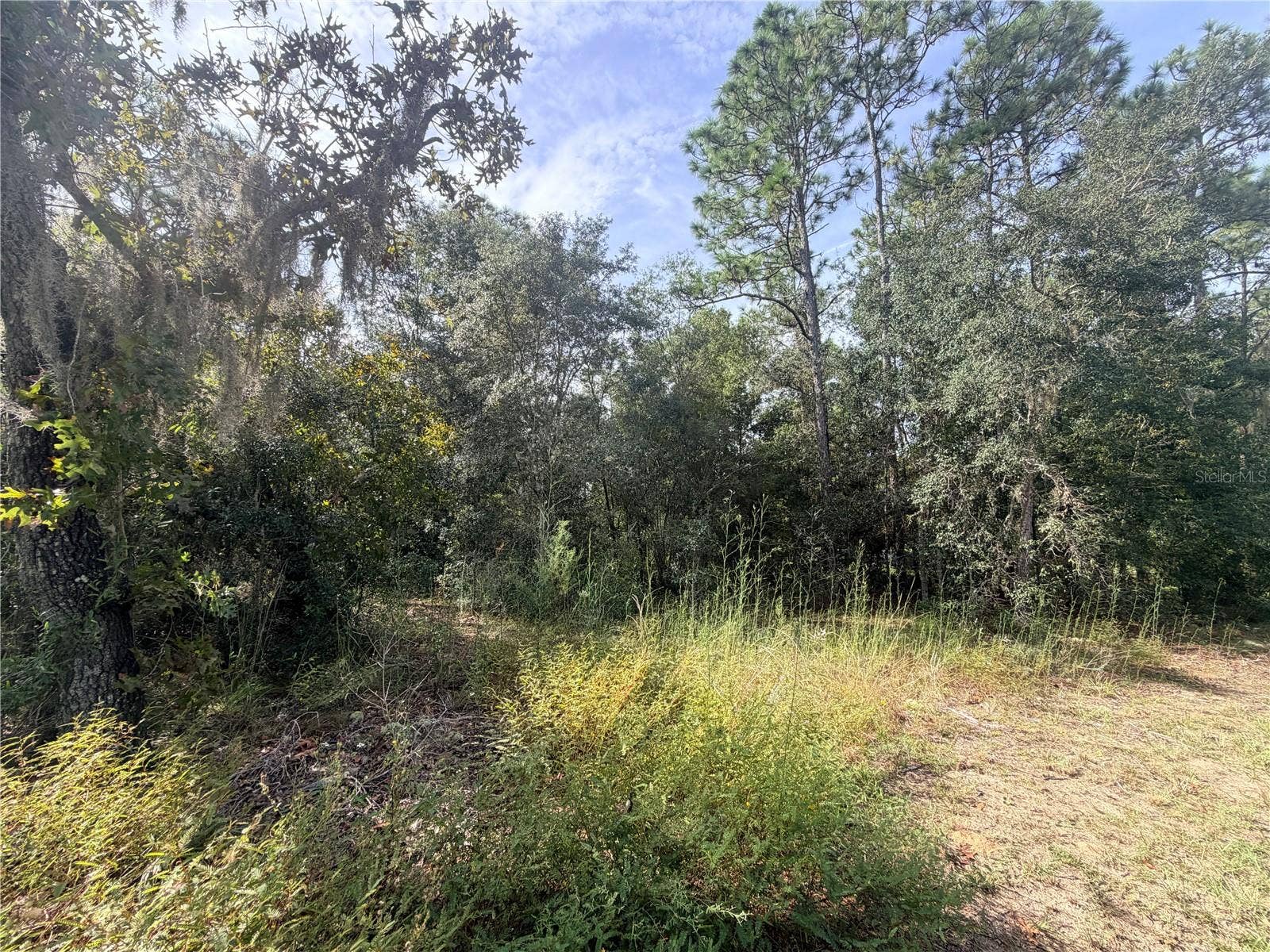 5066 E ANNA JO DRIVE, Inverness, FL 34452 5066 E ANNA JO DRIVE, Inverness, FL 34452