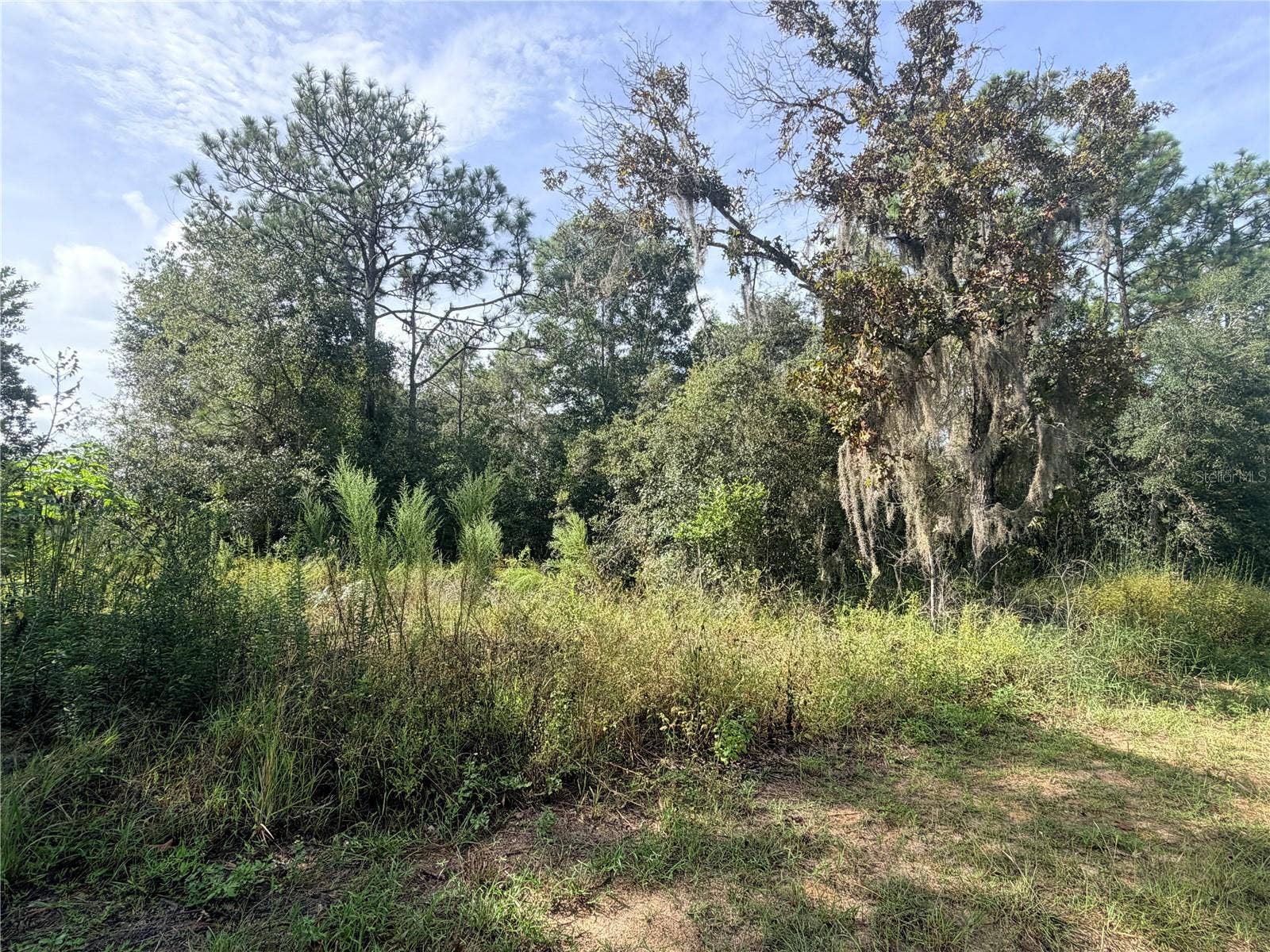 5066 E ANNA JO DRIVE, Inverness, FL 34452 5066 E ANNA JO DRIVE, Inverness, FL 34452