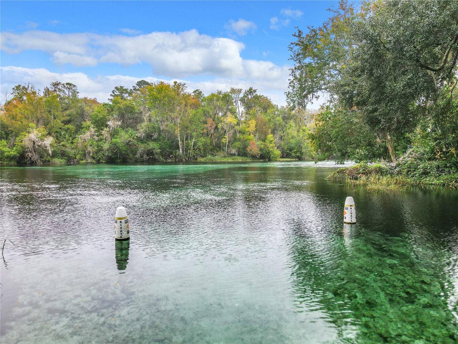 19175 SW 93RD LOOP, Dunnellon, FL 34432