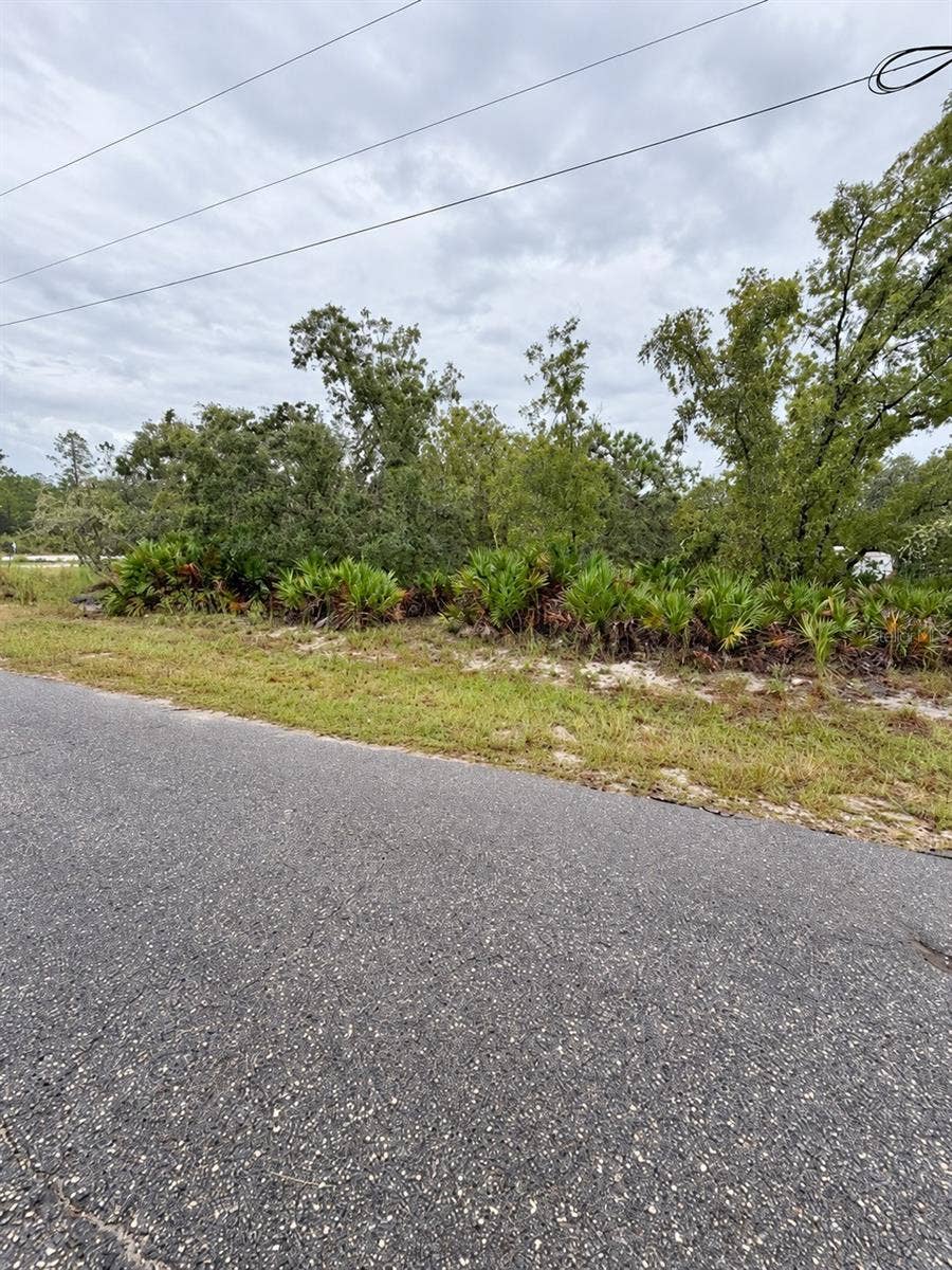 0 FISHER LOOP COURSE, Ocklawaha, FL 32179