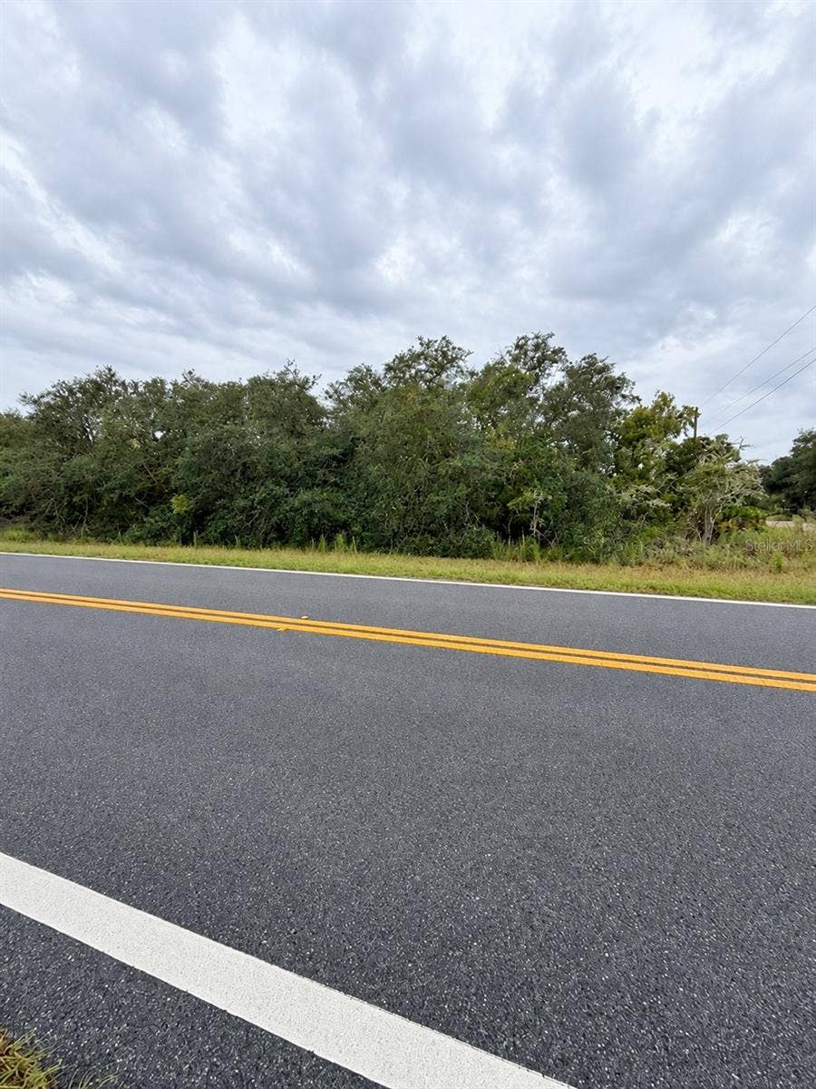 0 FISHER LOOP COURSE, Ocklawaha, FL 32179