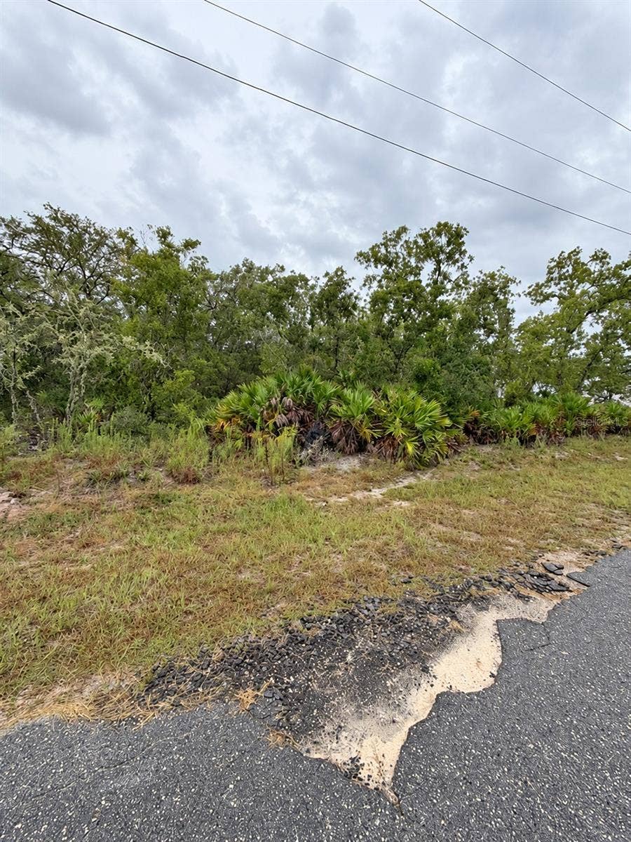 0 FISHER LOOP COURSE, Ocklawaha, FL 32179