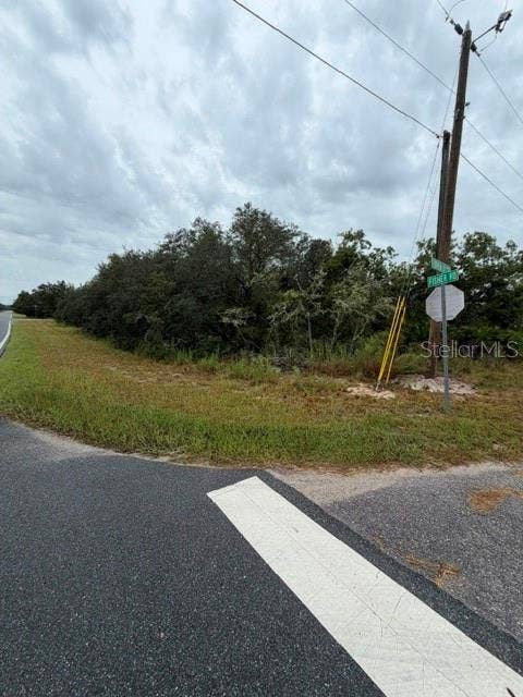 0 FISHER LOOP COURSE, Ocklawaha, FL 32179