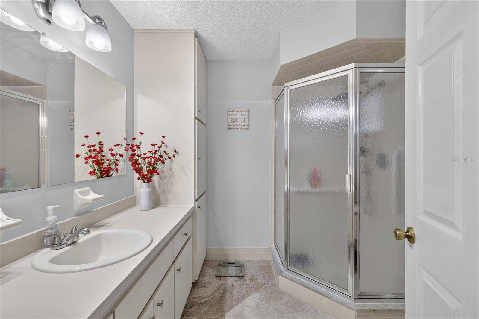 10255 SE 178TH PLACE, Summerfield, FL 34491 10255 SE 178TH PLACE, Summerfield, FL 34491