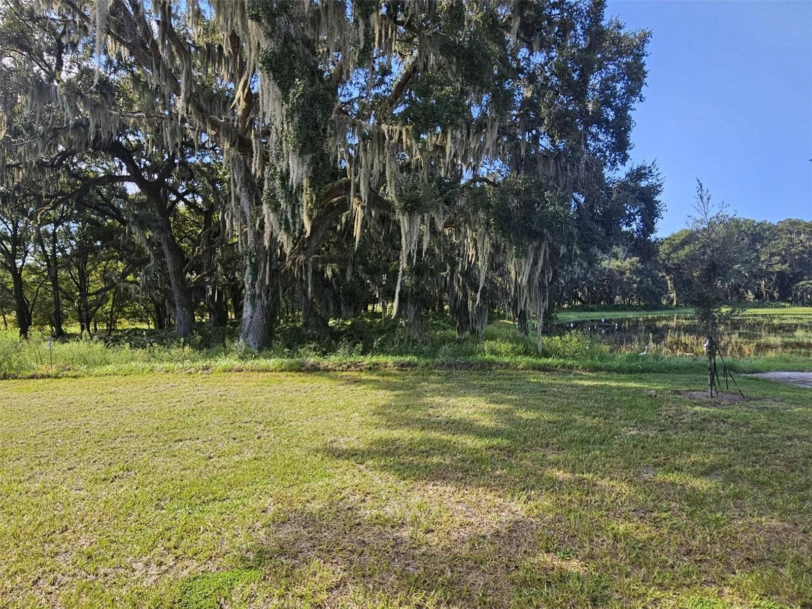 8712 BARRAGAN DRIVE, Wildwood, FL 34785 8712 BARRAGAN DRIVE, Wildwood, FL 34785