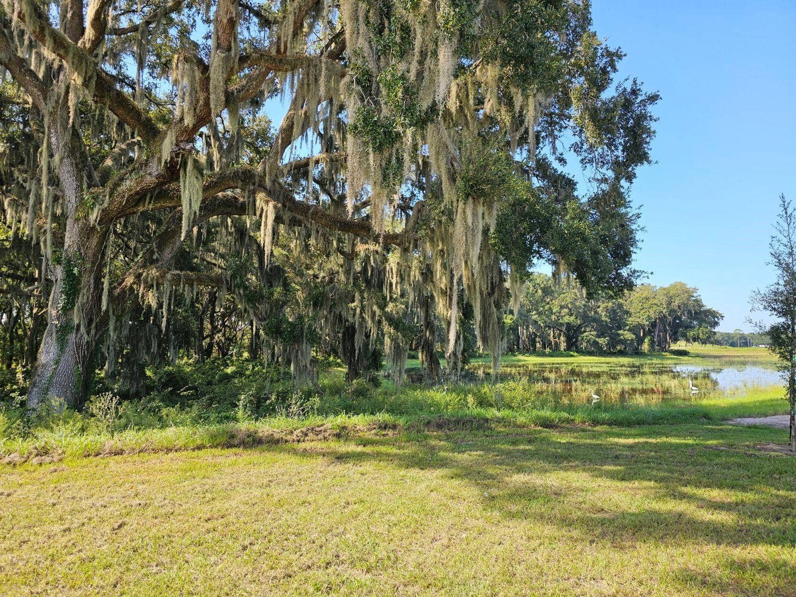 8712 BARRAGAN DRIVE, Wildwood, FL 34785 8712 BARRAGAN DRIVE, Wildwood, FL 34785