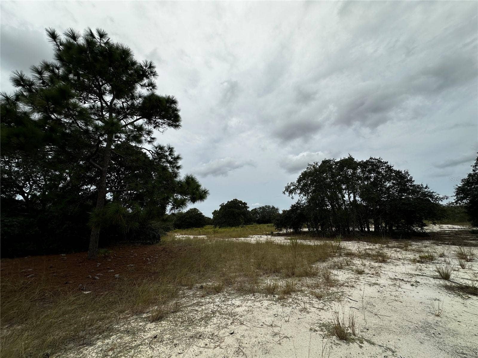 13451 SE 98TH STREET, Dunnellon, FL 34431 13451 SE 98TH STREET, Dunnellon, FL 34431