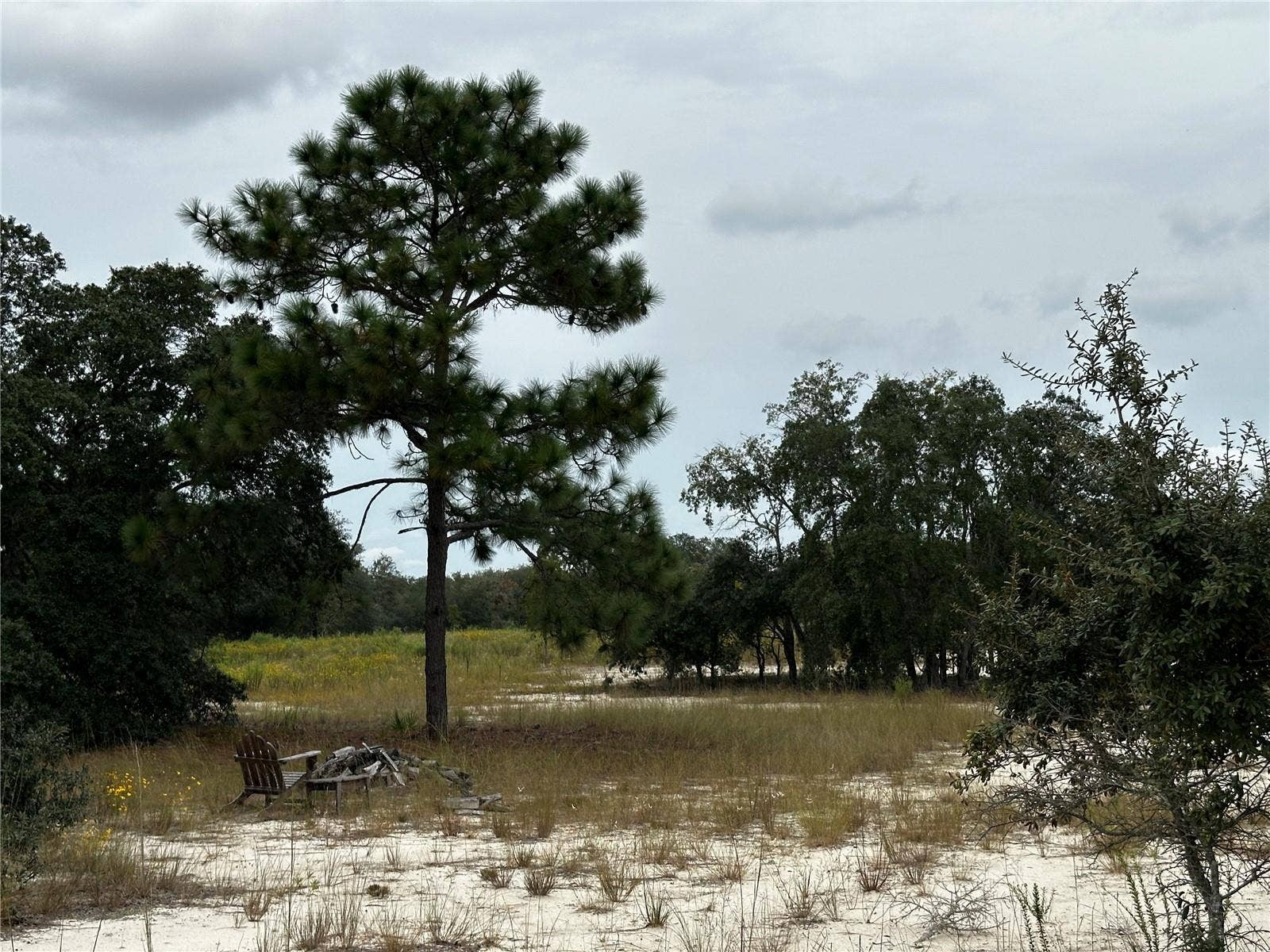 13451 SE 98TH STREET, Dunnellon, FL 34431 13451 SE 98TH STREET, Dunnellon, FL 34431