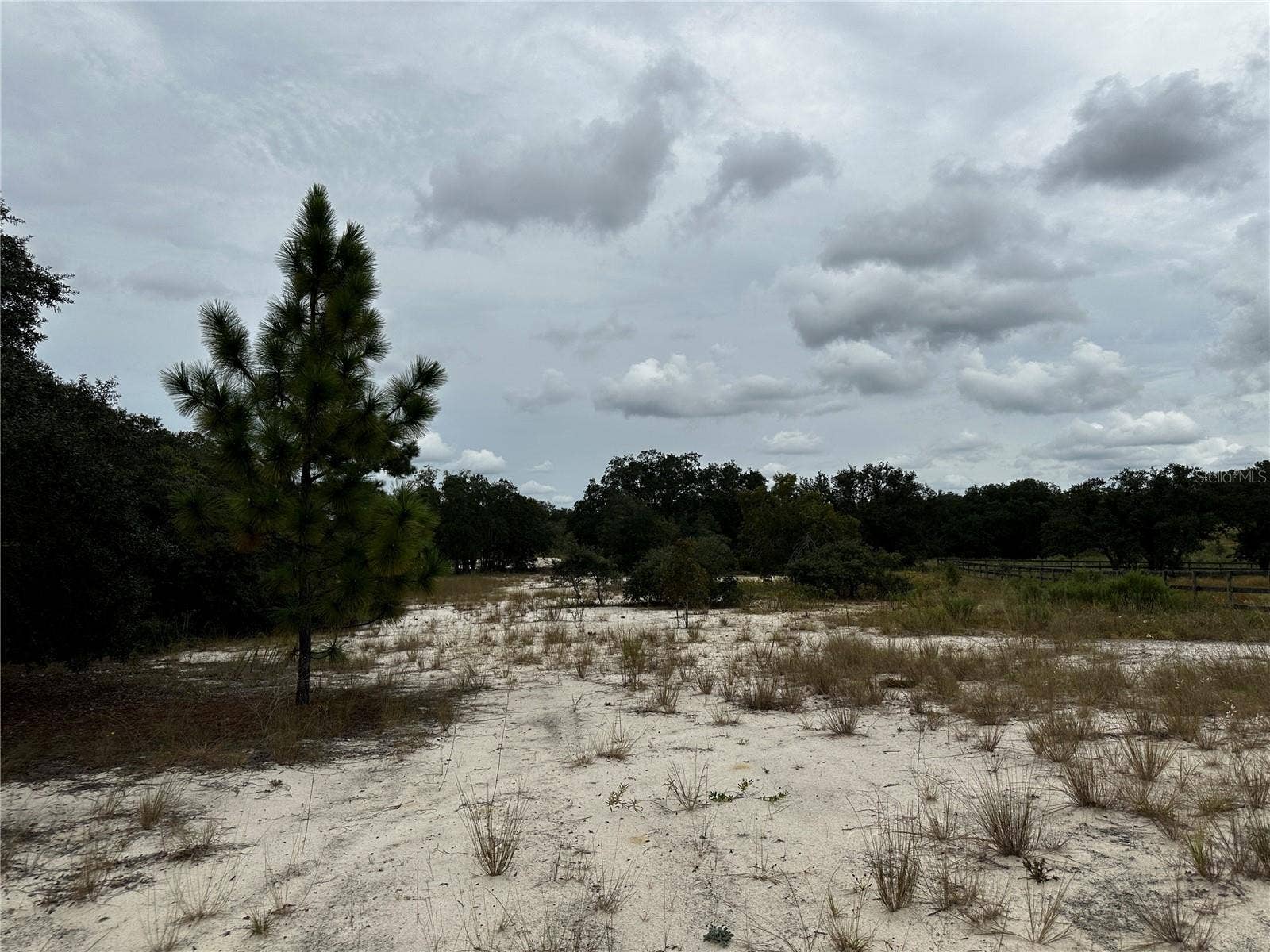 13451 SE 98TH STREET, Dunnellon, FL 34431 13451 SE 98TH STREET, Dunnellon, FL 34431