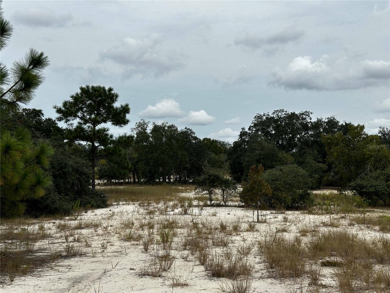 13451 SE 98TH STREET, Dunnellon, FL 34431 13451 SE 98TH STREET, Dunnellon, FL 34431
