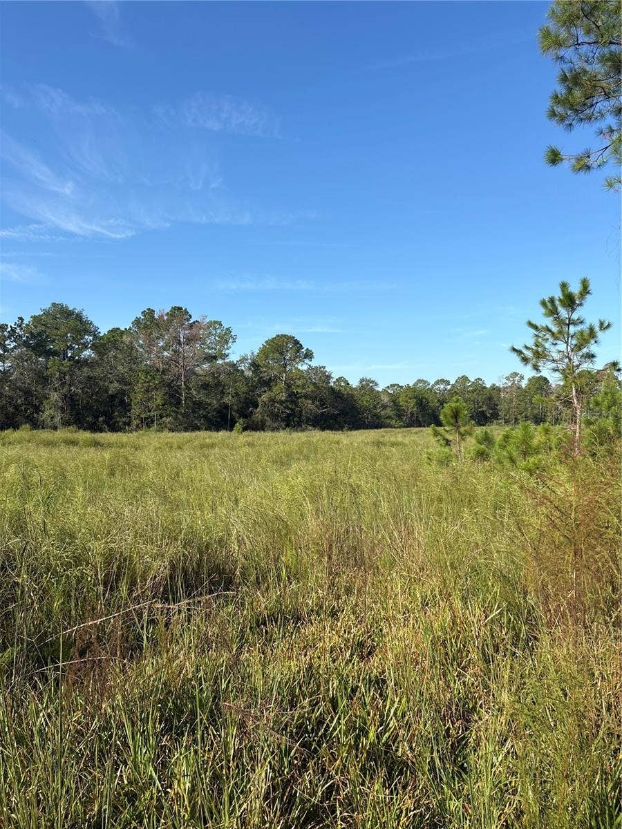 123 RD LANE, Bronson, FL 32621 123 RD LANE, Bronson, FL 32621