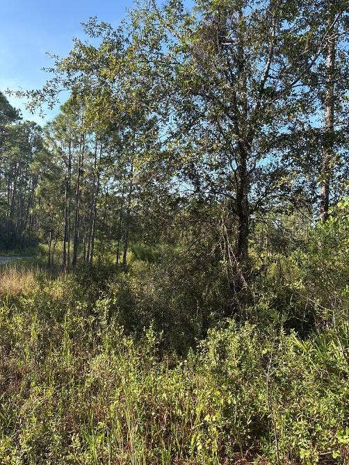 123 RD LANE, Bronson, FL 32621 123 RD LANE, Bronson, FL 32621