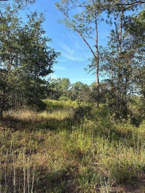 123 RD LANE, Bronson, FL 32621 123 RD LANE, Bronson, FL 32621