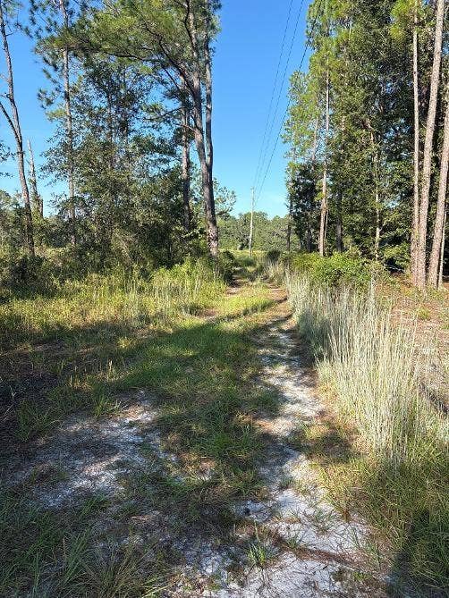 Property photo for 123 RD LANE, Bronson, FL