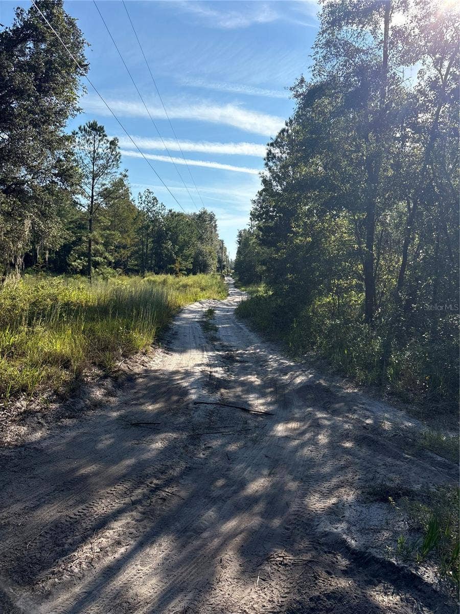123 RD LANE, Bronson, FL 32621 123 RD LANE, Bronson, FL 32621