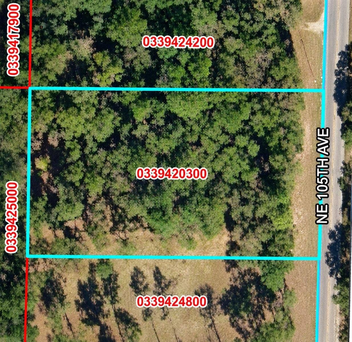 NE 105TH AVENUE, Bronson, FL 32621 NE 105TH AVENUE, Bronson, FL 32621