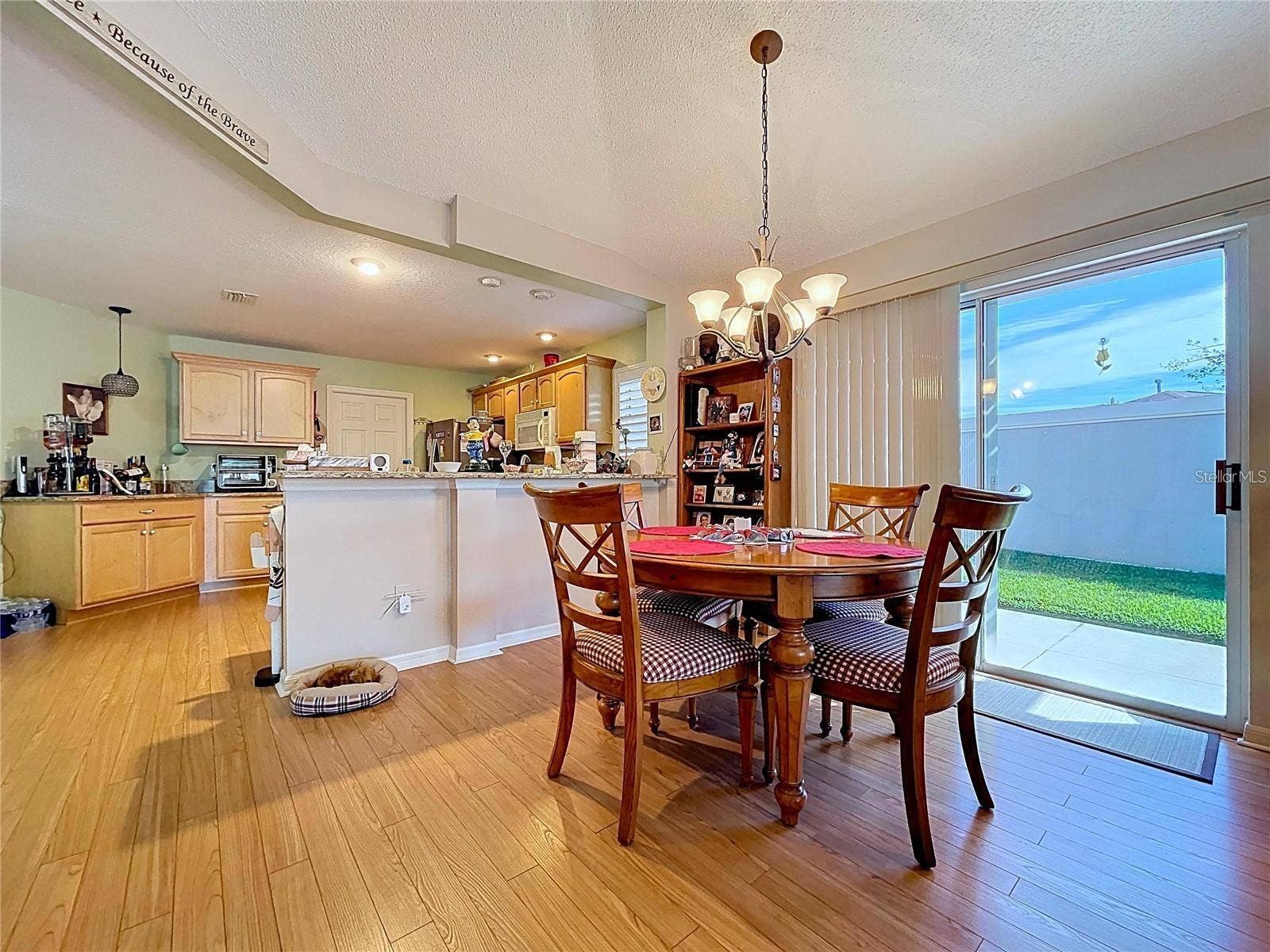 388 BRADLEY TERRACE, The Villages, FL 32162