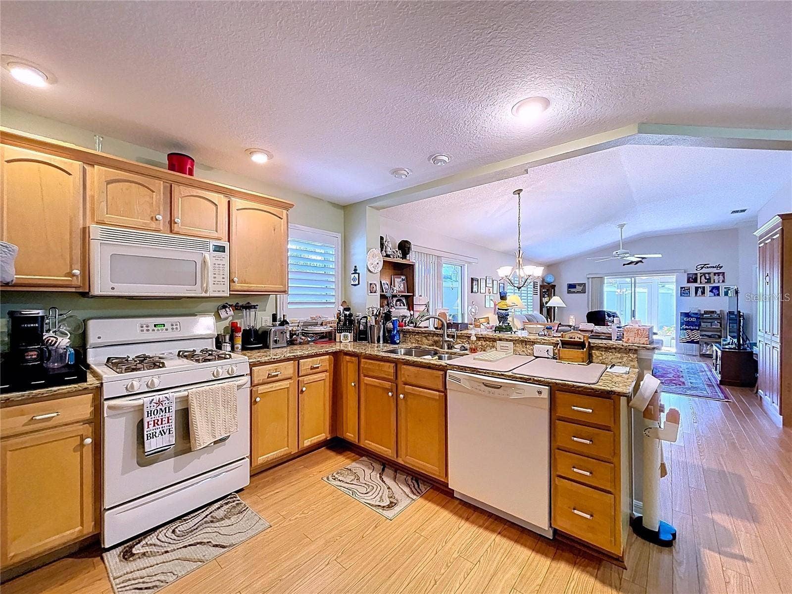388 BRADLEY TERRACE, The Villages, FL 32162