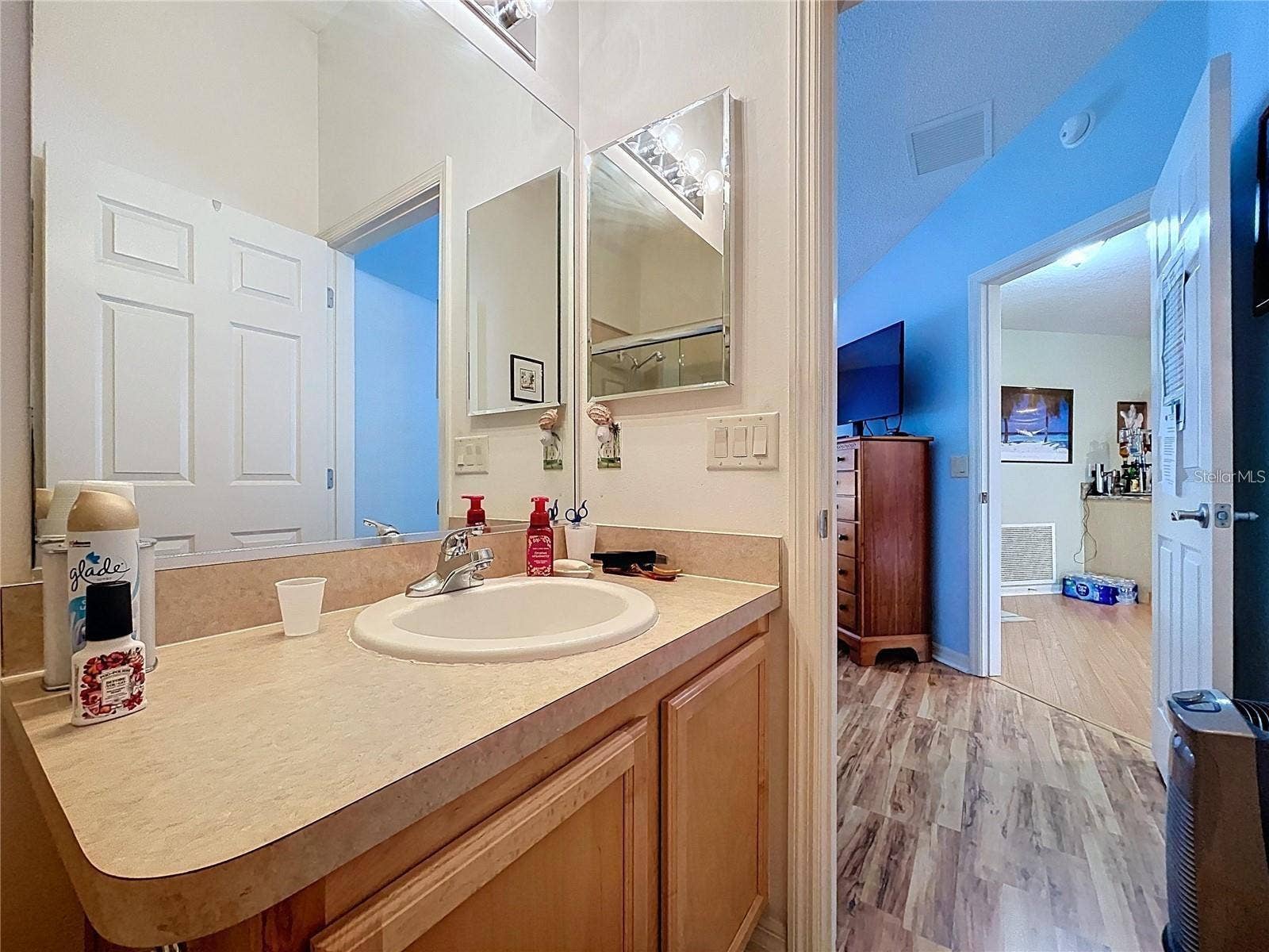 388 BRADLEY TERRACE, The Villages, FL 32162