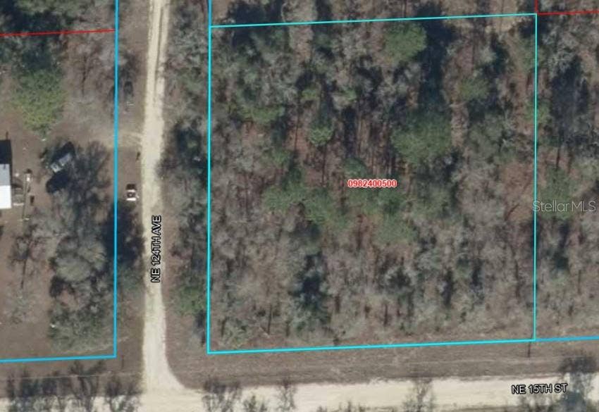 Lot 6 NE 124 STREET, Williston, FL 32696 Lot 6 NE 124 STREET, Williston, FL 32696