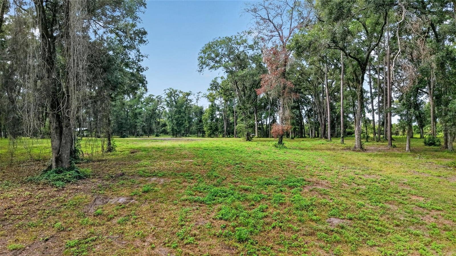 TBD SW 38TH AVENUE, Ocala, FL 34476 TBD SW 38TH AVENUE, Ocala, FL 34476