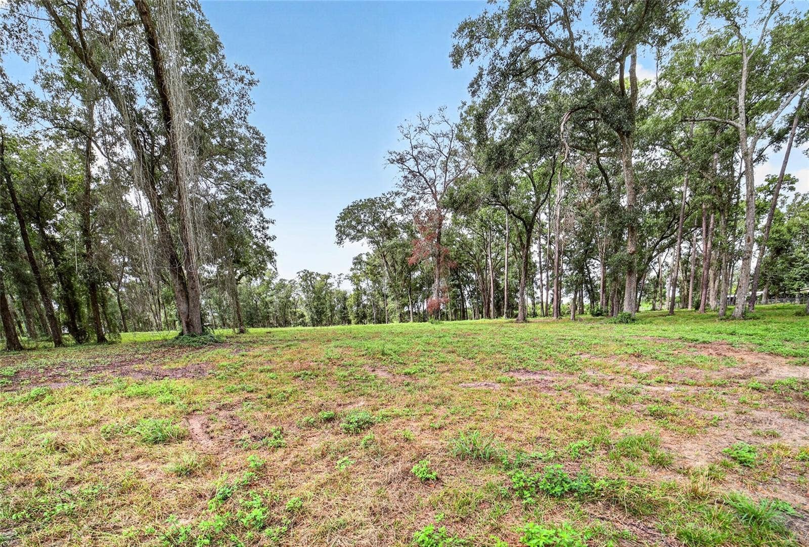 TBD SW 38TH AVENUE, Ocala, FL 34476 TBD SW 38TH AVENUE, Ocala, FL 34476