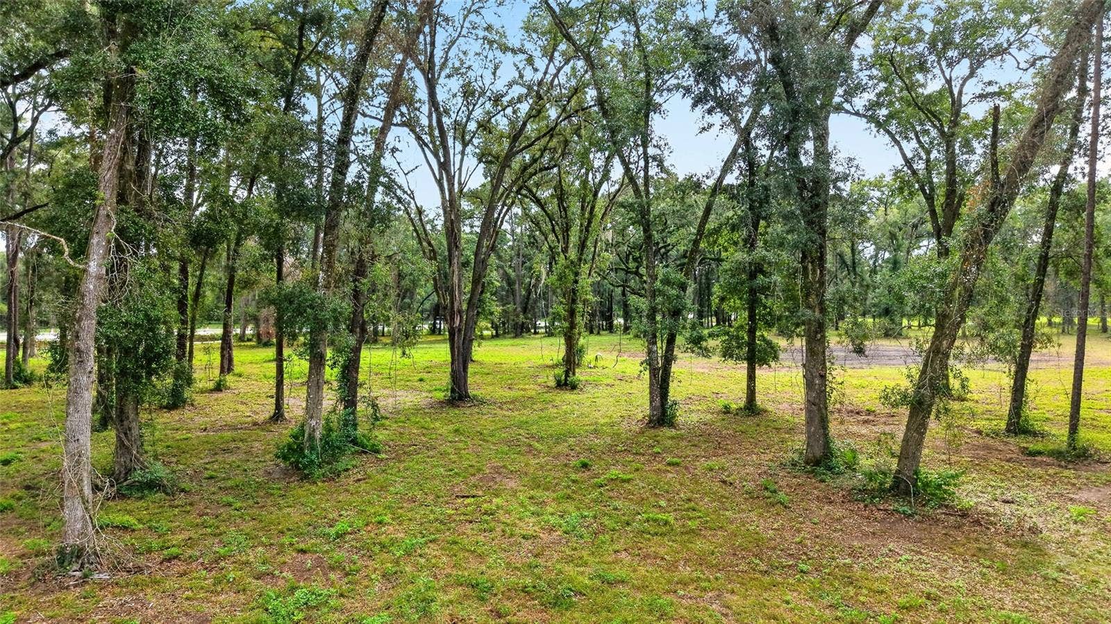 TBD SW 38TH AVENUE, Ocala, FL 34476 TBD SW 38TH AVENUE, Ocala, FL 34476