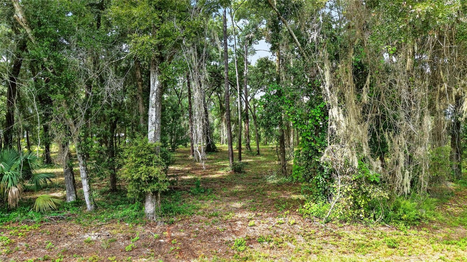 TBD SW 38TH AVENUE, Ocala, FL 34476 TBD SW 38TH AVENUE, Ocala, FL 34476