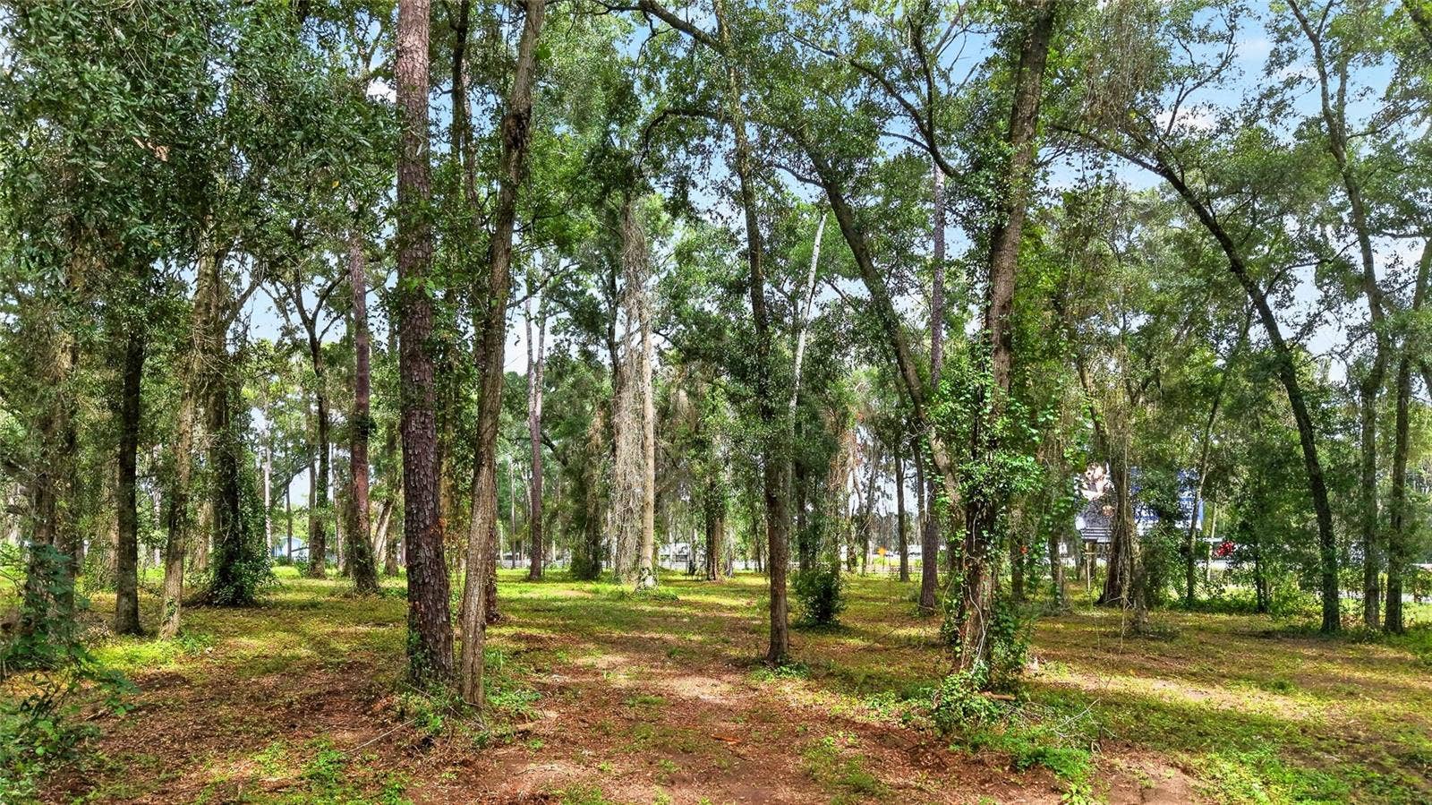 TBD SW 38TH AVENUE, Ocala, FL 34476 TBD SW 38TH AVENUE, Ocala, FL 34476