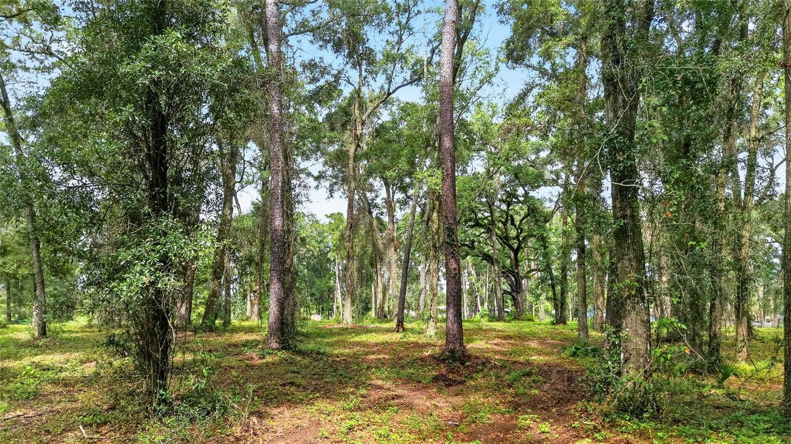 TBD SW 38TH AVENUE, Ocala, FL 34476 TBD SW 38TH AVENUE, Ocala, FL 34476