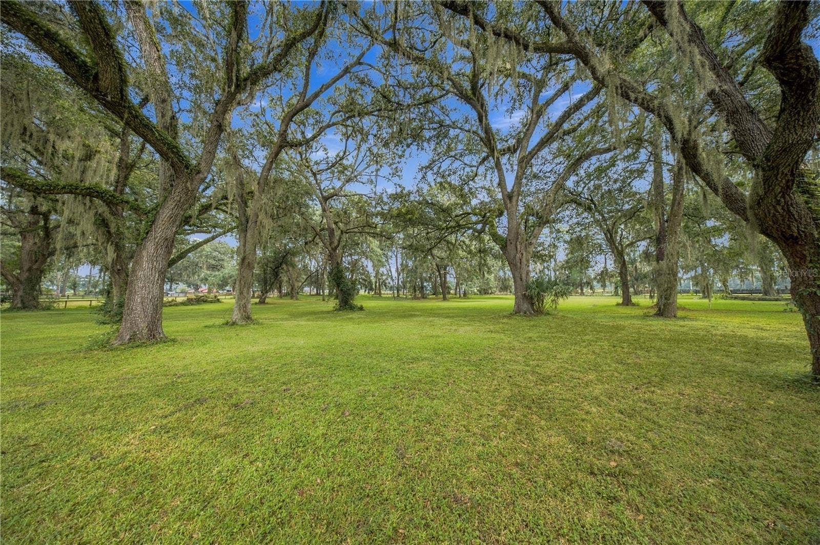 701 SE 123RD STREET ROAD, Ocala, FL 34480 701 SE 123RD STREET ROAD, Ocala, FL 34480