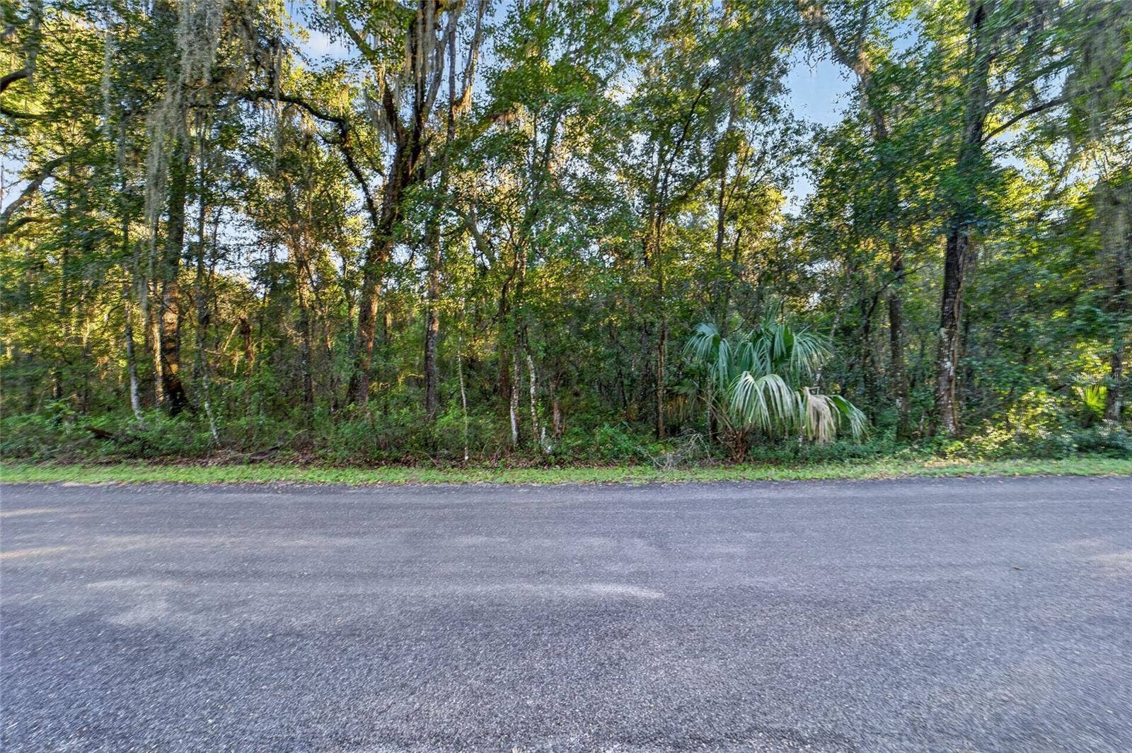 TBD NW 200TH STREET, Micanopy, FL 32667