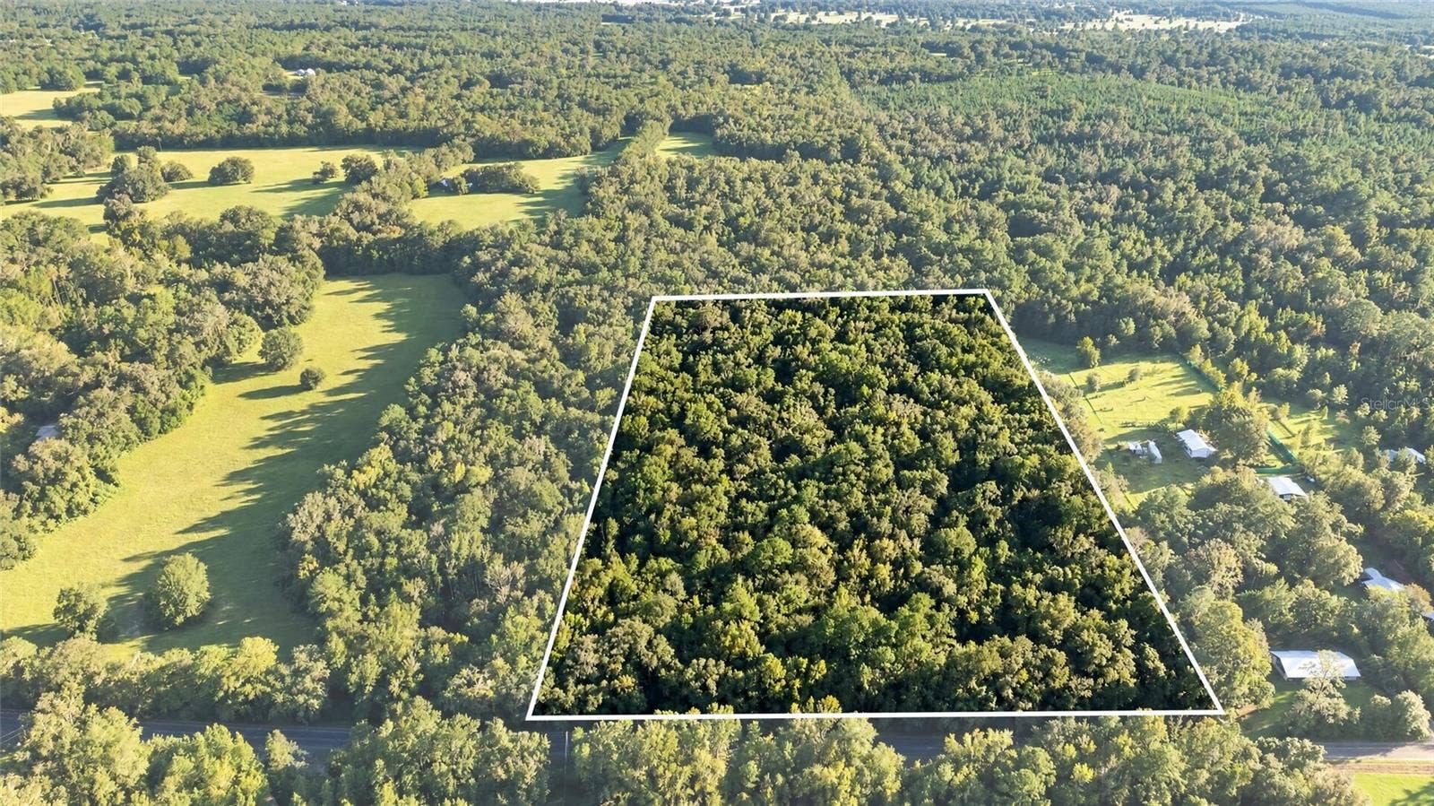 TBD NW 200TH STREET, Micanopy, FL 32667
